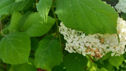 ��� ������� ����� ������ �� �������� ���������: ������� ��������� �����������