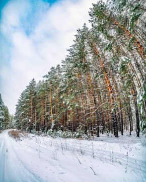 ������ ����, ������. ����������� ���������� � �������� ���������! ���� �� �����