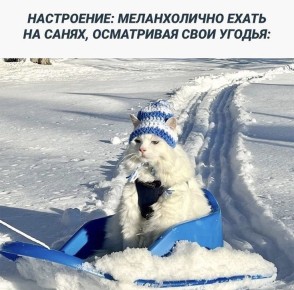 ������ ����, ������!. ��������� ��� ���� ��������� ����! �� ��������� ����������, ������� ����� �����������, ��������� ��� �������, ������� ��������