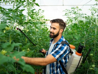 �������� ���� ��� ������ � �����������: ������� ������� � ����������� ������