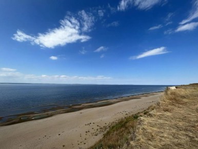 ����������� �������� ���� ������� ��������� ������� ��������������