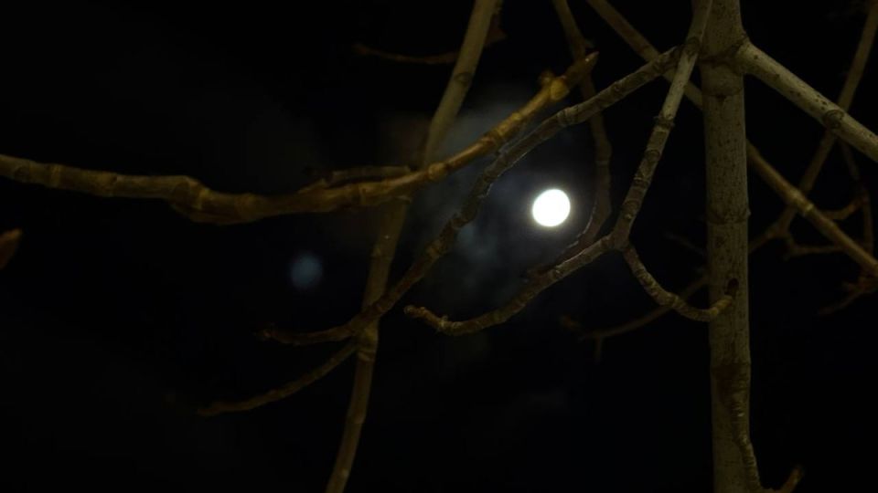 ��������� ������� ������ ��������� ��������� ���� 5 �������