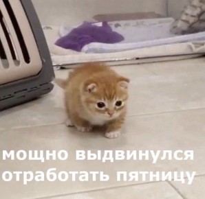 ������ ��������� ����!. ������� ����� ��� ��� �� �����������, ��� �������, ������� ��������