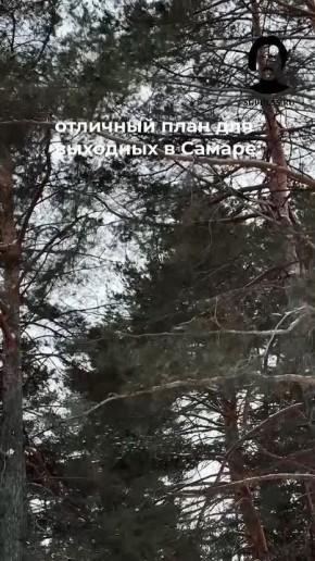 Спокойный маршрут по Курумочу: лес, тропинки, деревянные строения