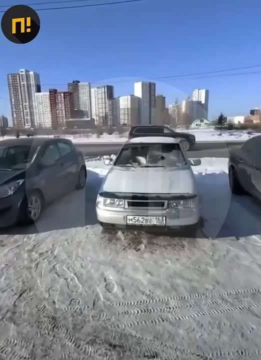 У самарского ТЦ обнаружили машину, забитую десятками голубей