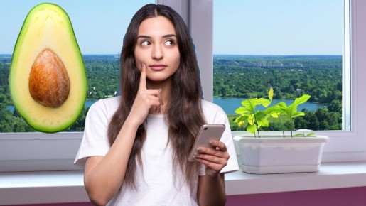 �� ������������ �������� �� �������: �� ��� ����� ��������� ������������ ��������