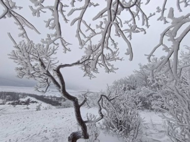 ������ ����, ������!. ����� ���� ����� �������� �������������� ��������! : �������� ����� ������ � �������