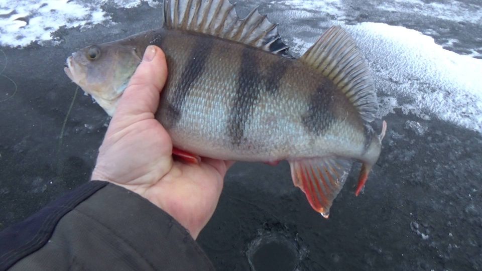 �� 8 ������� � ������ ���������� ����� �������� ��������� ������ ��������� - ���� ������ �������