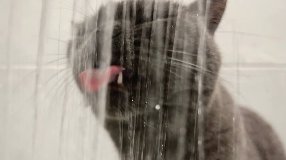 8 ������� ��������� ���� ������ �������� ��������� ��� �������� ����