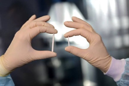 �������, � ���� ���������� ����� ���������� ������ ����������� - ���������������� ������� ����� ���������-����