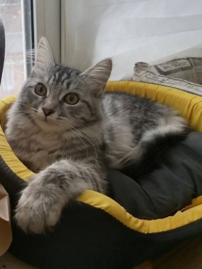 ��������� �������. ������� ������, ��� � ��� ����� ��������� � �������� ���� �����! : �������� ��������� �������� � ������������ ������������ ����� �������� ��������