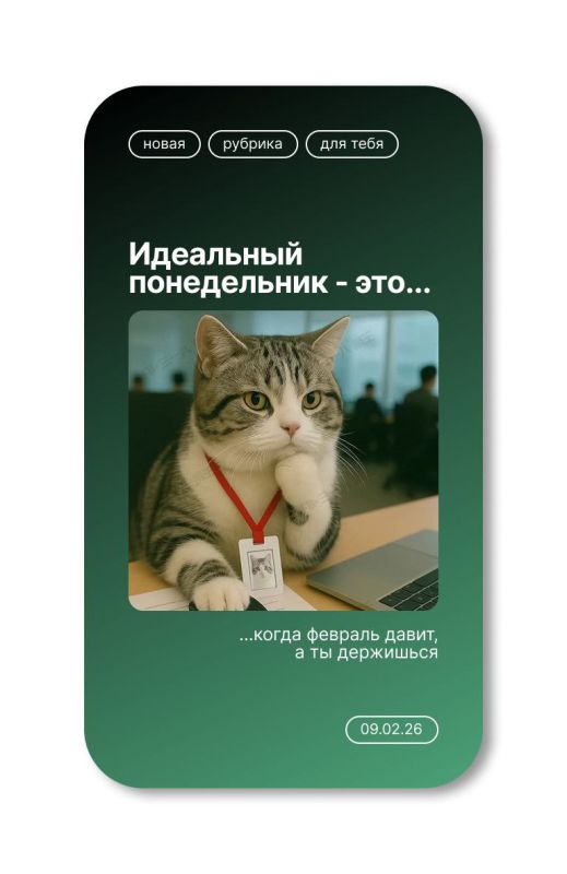 ������ ����! ������� �� ����������� ����������?