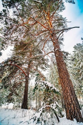 ������ ����, ������!. :���� �� ����� �������� ���������� � ������������� ���!