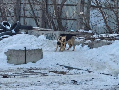 ������� ������ ������ ������ ����������� ����� �� ��������� ������ � ������