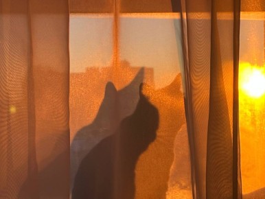 ������ ������ ����!. 9 ������� ���������� ������� -9...-11�C ������������ �������� ������, ����, � ����� ������ ������ ����� ������-��������, 9...14 �/� ���� ������ MAX l�� l�� l����