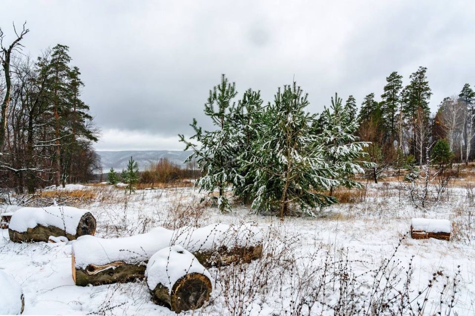 ������ ������ � ���� � ��������