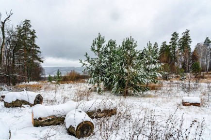 ������ ������ � ���� � ��������