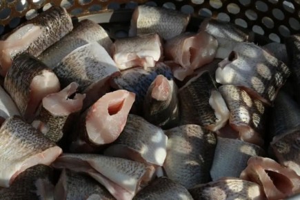 ��� ��������� �������� ����: �������� ������