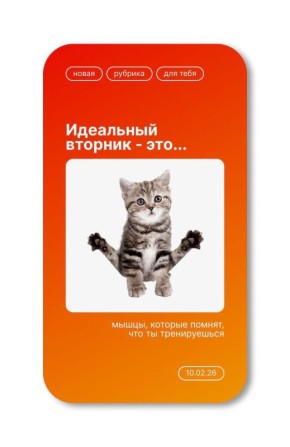 ������ ����, ����������! �� ��������� ������������ ���� ���������!