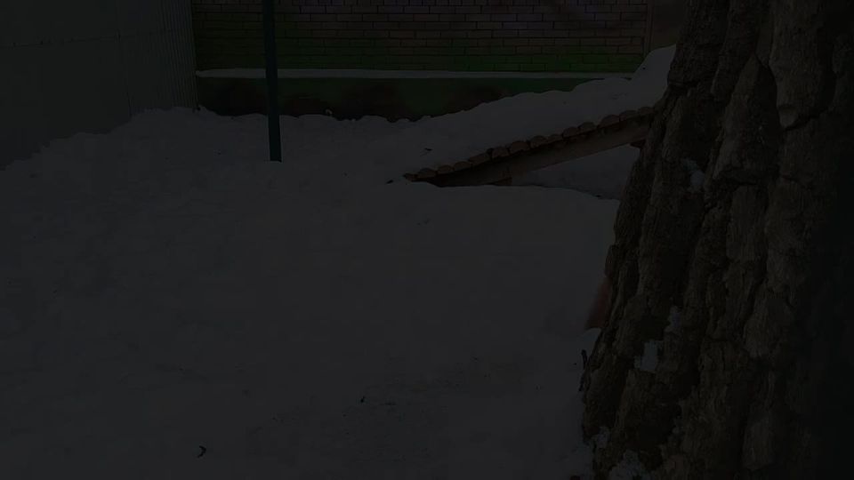 ���� � ���� ���� ���������, �������.� �������� � �������� ������