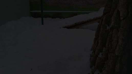 ���� � ���� ���� ���������, �������.� �������� � �������� ������