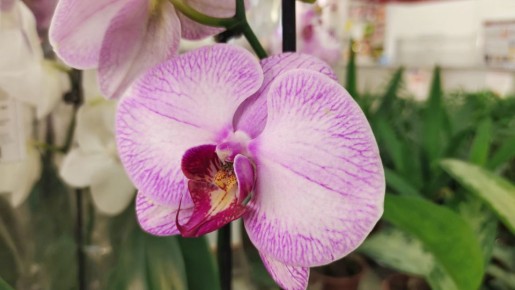 1 � � ���� - � ������� �� ������� ����������: ����� ������ ������� ��� - ������ � �����