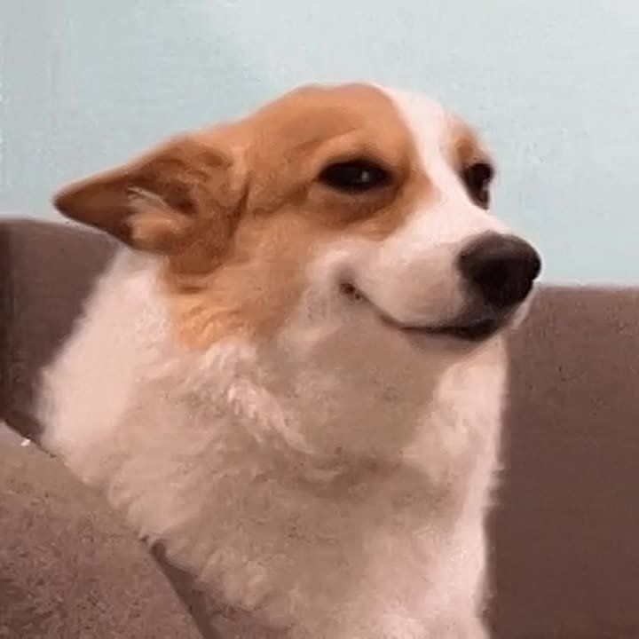 ���-������ ��������� ����� ������� � ����������� �������� ������� � ����� ��� �������� �������� ����. ����. �����, ������� ������� � ������ � 13 �� 15 �������