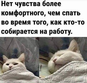 ������ ����, ������!. ������� ����� ������� � ������������, ������� ������� ��������� ����