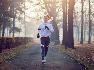 ���������� � ������������ �����: ��������� ���������, ������� ����������