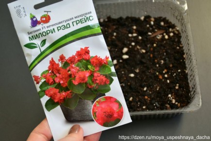 ������� ��������� ������ �������: ������� ���� � ����� ������