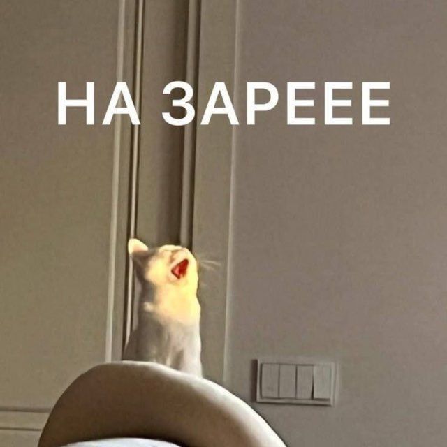 ���� ������ ����!. ��� ���� �������� � ��������� ����! ������� ����� ��� ��� �� ������� � ������������, ��������� ��� ������������ �������