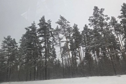 ������� ����� �� 20 �/� ������� ������ � ��������