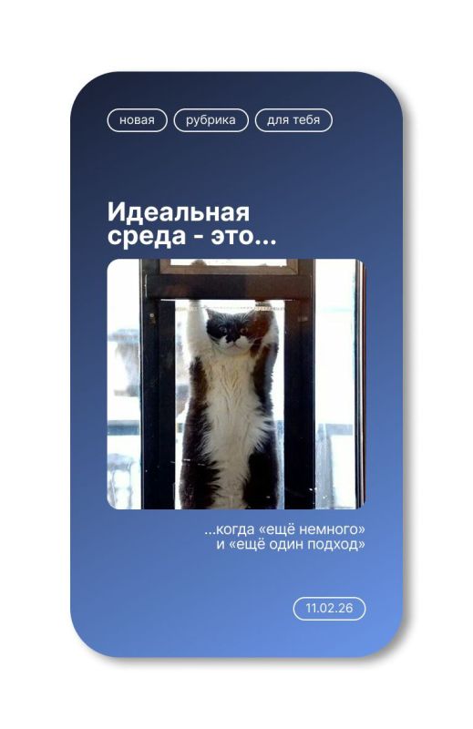 ������ ����. �� ����� ������� ������������� ����� � �������: ���� ���� ������ ������� �� �������� � ����!