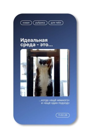 ������ ����. �� ����� ������� ������������� ����� � �������: ���� ���� ������ ������� �� �������� � ����!