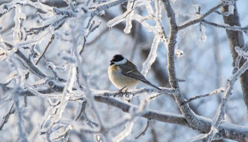 20 ������� � ��������� ����: ��� ����� � ������ ������