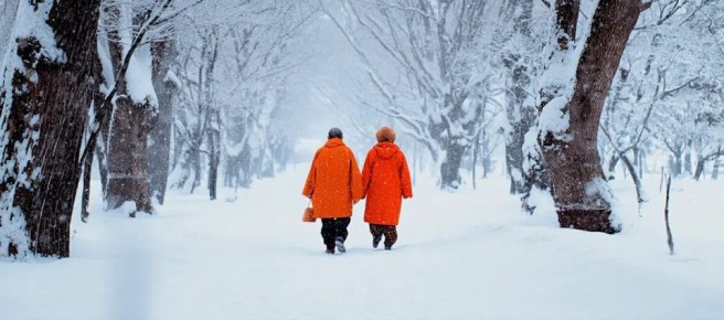 ����� ��������� � �������� ������, ������� ������� ������ �� ���������� � 2026 ����