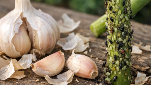 ������ ������ � ������ � ������: ����� ������ ������, ������� �������� � ��� ������� � � ��� ��������� �� 2 ���