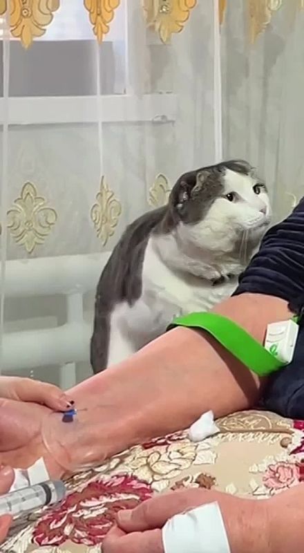 ����� ��������� � ������� ��� ������� � ���������