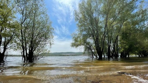 � ������ ���������� � ���������� � ������� 2026 ����