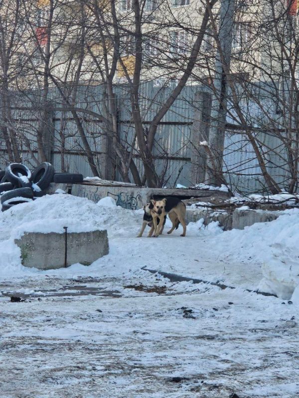 ������ �� ���� ������ �� ��������� � ����� �����, � �� ������ � ������� �����