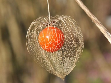 �������: ������� ������� ����������� � ���� ��� �����