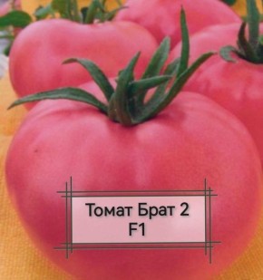 ���� ������ ����������� ������� ������� ������ � ��� ��������� ��� ��� ������ ������