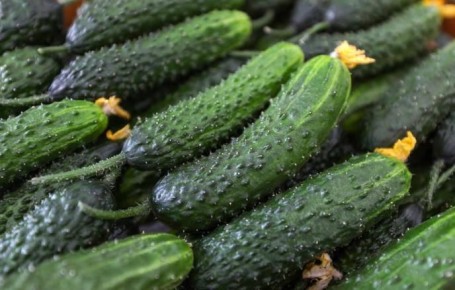 ������������ ������� �������� ��� �� ������ � ��������