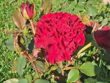 �������� ��� ���: 7 ��������� �����, ����� ����� ��������� ���� ��������� � ������� ������