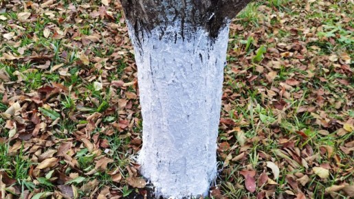 ��� � ��������: ������ �������, ������� �������� �� ��� � �������� ����� ������