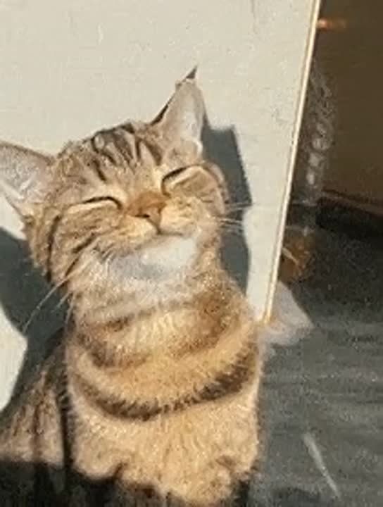 ������� ����� ���� �������� � ��������