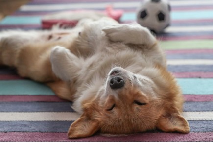 ��������� �������: ������� ������, ������� ������� ����������