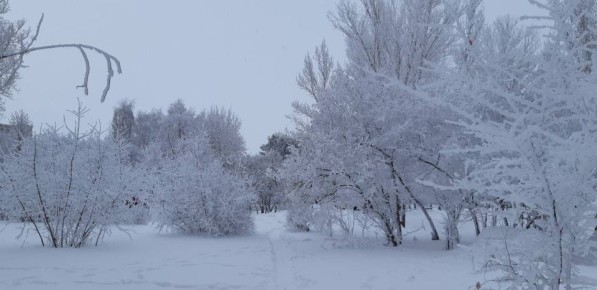 ������ ����, ������� ��������!