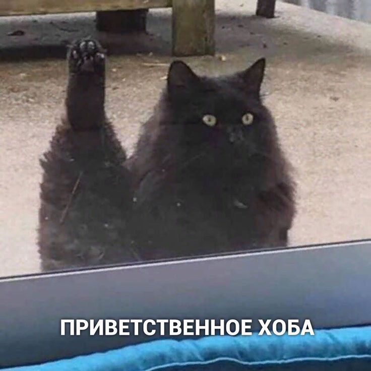 ���� ������ ����!. ������� ��� ���� ��������� ����������