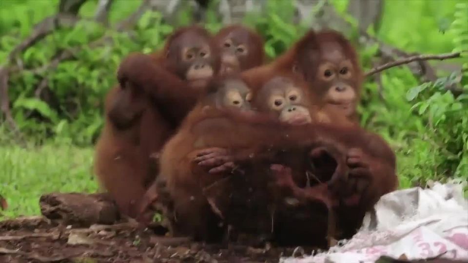 ����� � �������� ����: � �������� ������� ����������� ��������� ����� ����� ������ � ������� ��������� ����